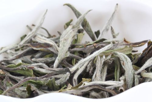 什么是白茶？白茶的功效與作用.jpg