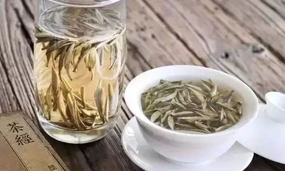 白茶屬于什么茶系？白茶怎么喝.jpg