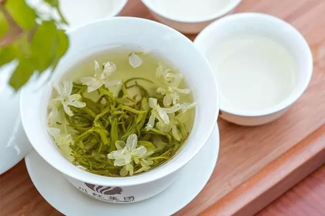 茉莉花茶是綠茶嗎.png