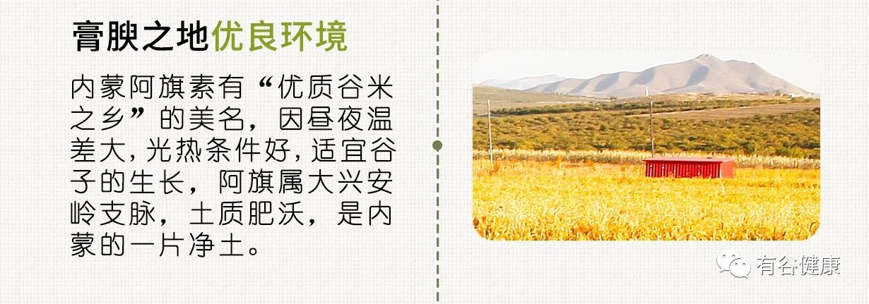 原生態(tài)粗糧小米.jpg