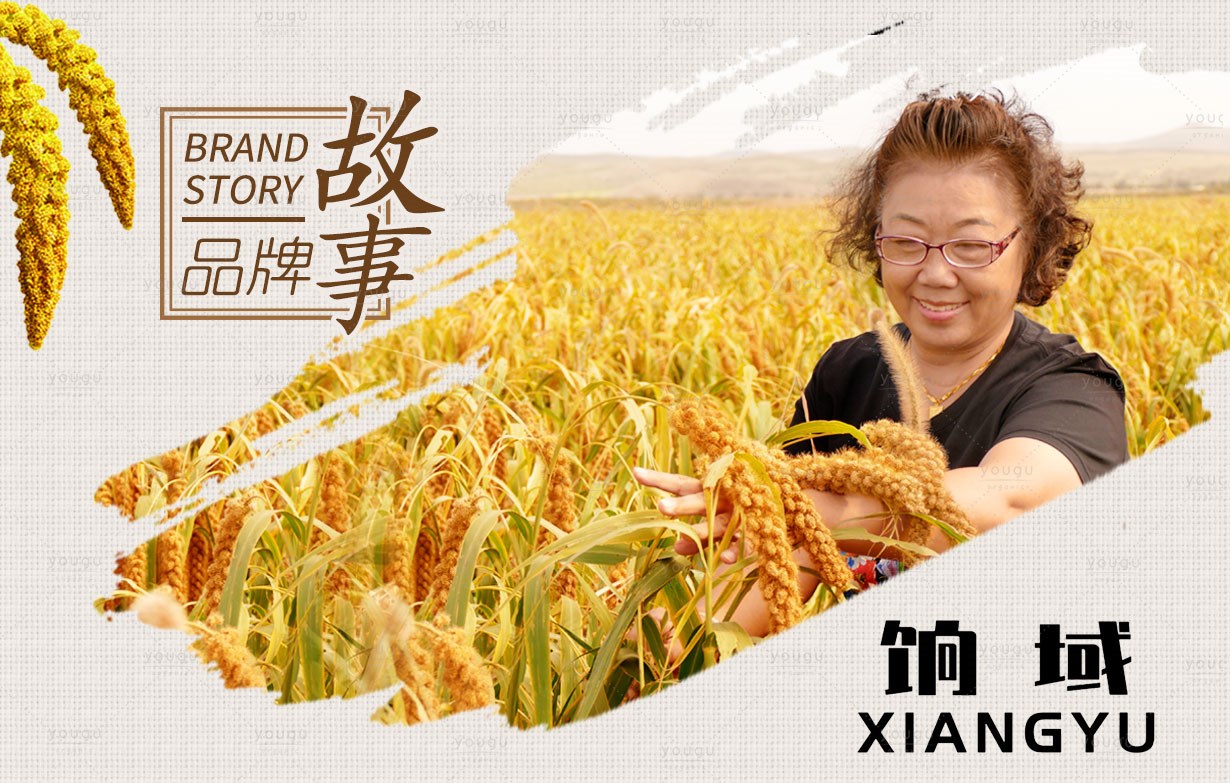 餉域牌金苗毛毛谷，原生態(tài)小米！